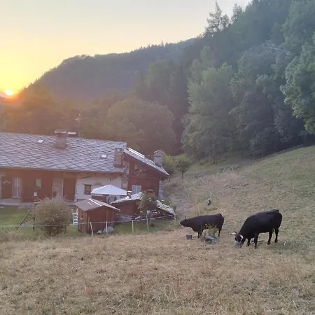 Les Chevreuils Lägenhet